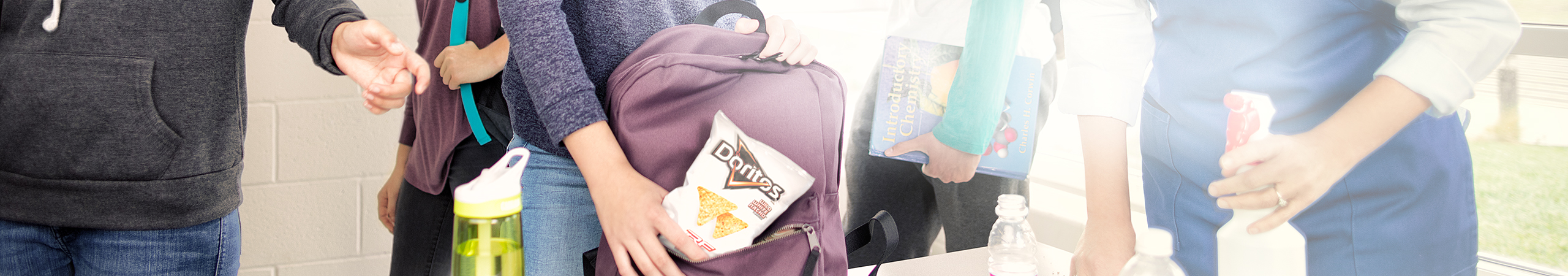 Doritos® Tortilla Chips